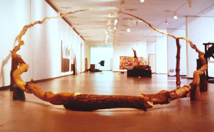 슈룹_김성배, 下下소나무, 1987