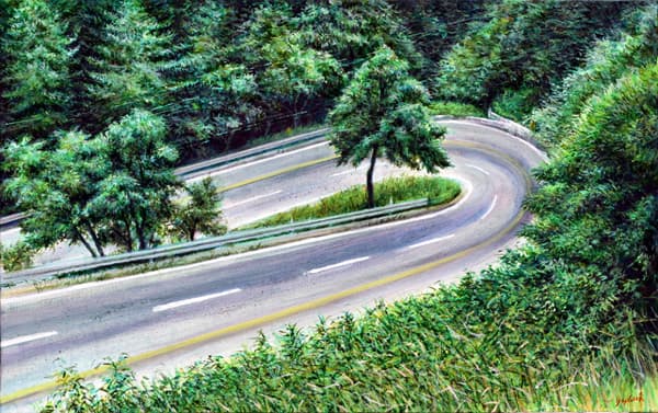 lonely hairpin, acrylic on canvas, 33.5 x 53cm, 2016