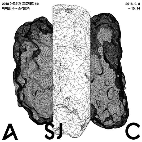 2018 아트선재 프로젝트 #4: 마이클 주 – 소격효과 2018 Art Sonje Project #4: Michael Joo – Verfremdungseffekt 1