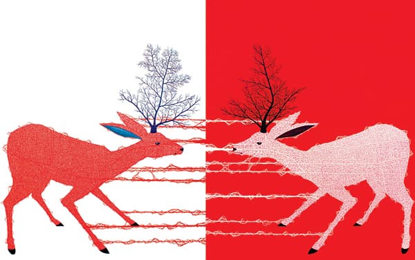 WHITE DEER-PROTECTIVE COLORING_Change(WR) Acrylic on canvas 260.6x162(cm) 2015