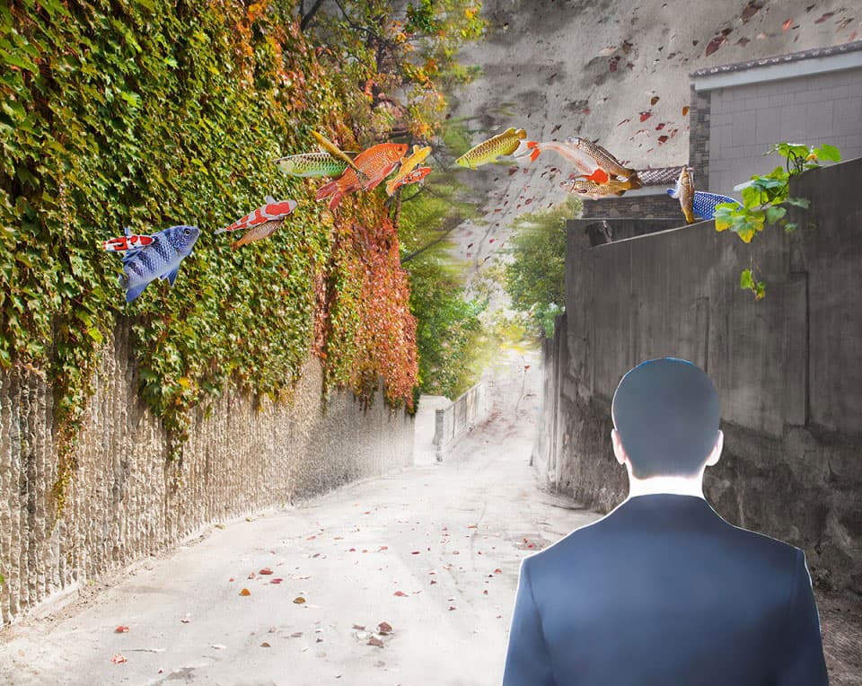 송희정, Fish over the fence(담장을 넘는 물기고들), digital print, 113x141.7cm, 2015