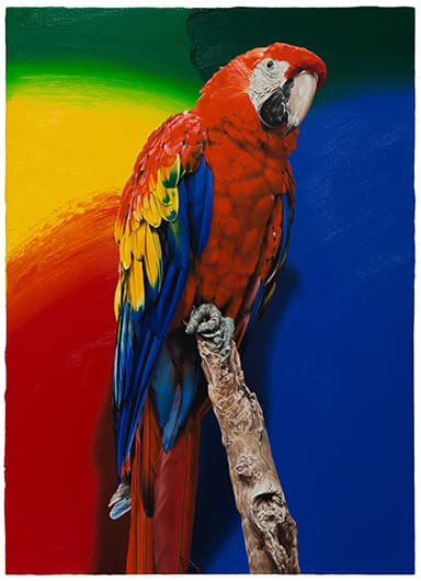 김성윤 개인전 : Earth, Bone, colour
