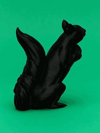 정희승, Black Squirrel_A, 2019, Archival pigment print, 48x64 cm