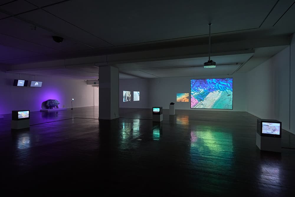 송상희 개인전 《자연스러운 인간》 전시 전경, 서울시립미술관, 2021.12.16.—2022.2.27. (사진: 홍철기) 〈대지의 노래〉, 2021, 7채널 비디오 설치, 컬러, 사운드, 가변 크기. 서울시립미술관 제작 지원.