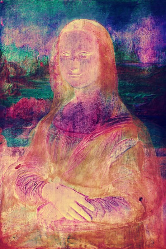 레오나르도 다빈치, 모나리자, Low power x-ray negative, 2016 ⓒ자비에 루케지