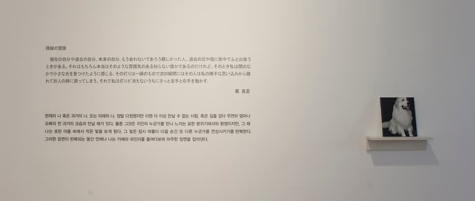 쿠라 마수미 Masumi Kura : Adventures of Kura