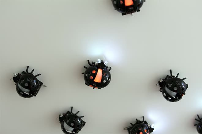 김동호, 무당벌레, 2008-2009, 혼합재료, 각 5x5x3cm
