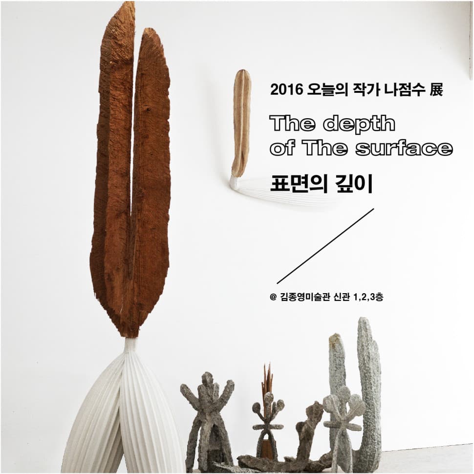2016 오늘의 작가 나점수 : 표면의 깊이