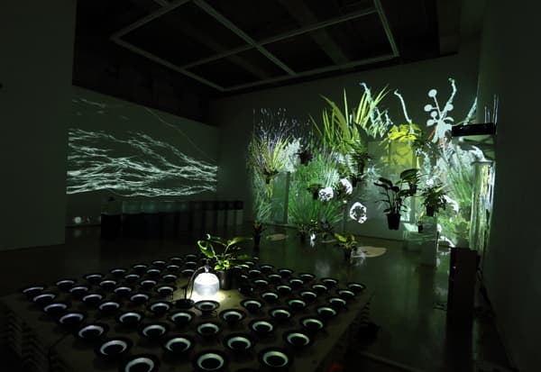 협력 정원에서 놀다 installation view
