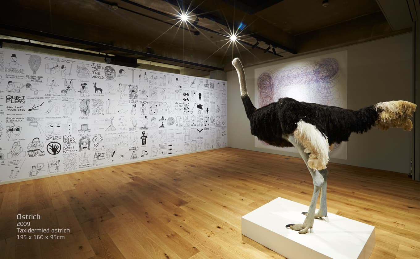 Ostrich, 2009, Taxidermied ostrich, 195x160x95cm