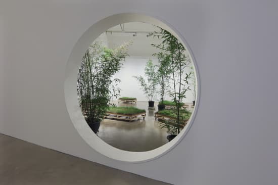 박정기 The Garden Ⅱ_bamboo, grass, sound of radio noise_가변크기_2017