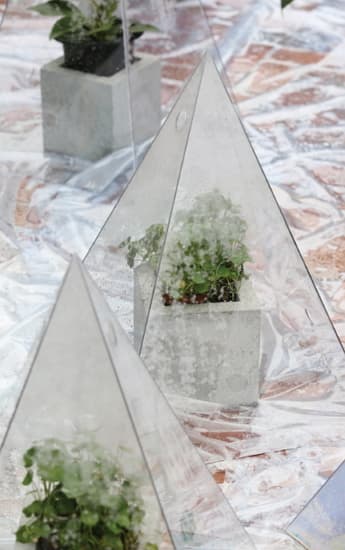 서상희 OPEN_가상정원virtual garden_식물, 혼합재료_가변크기_2017