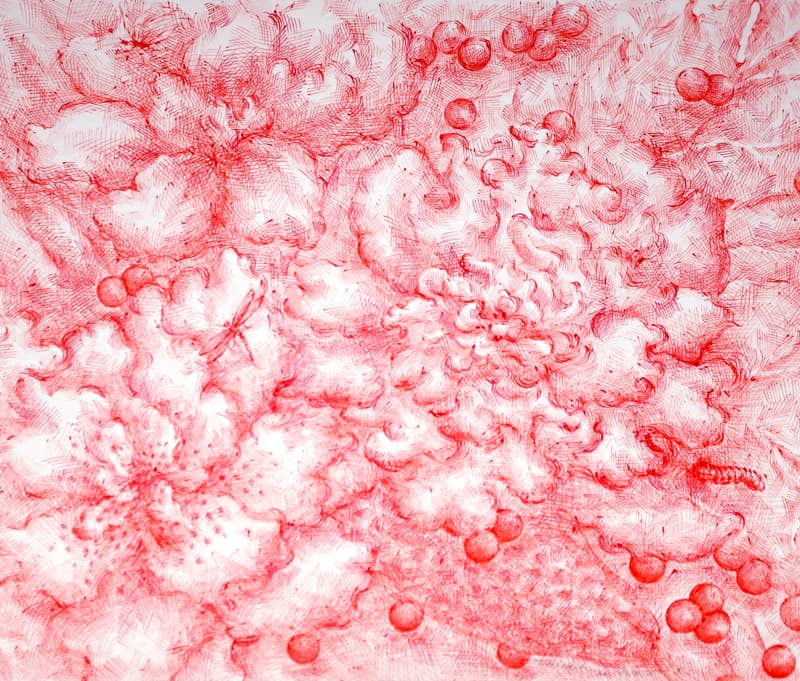 강주리 : 실험 단계 Experimental Stage 1