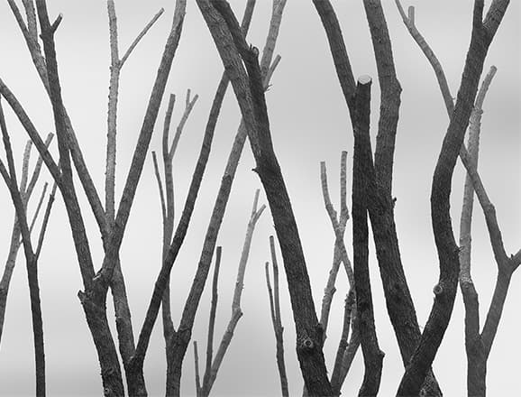 김형섭_ftn004_2013_Pigment Print on Cotton Paper_110x145cm