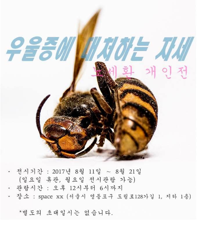 노세환 개인전 : 우울증에 대처하는 자세 1