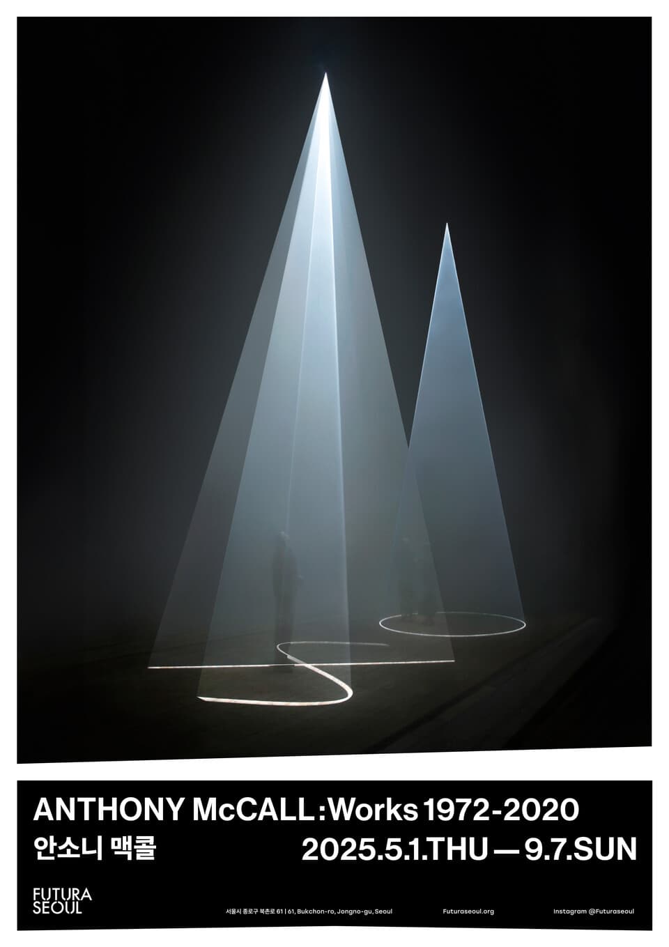 안소니 맥콜: Works 1972-2020 1