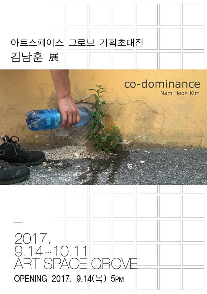 김남훈 개인전 : co-dominance 공우성 1
