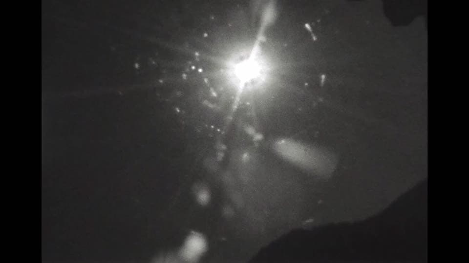 아영, 단풍놀이 (Leaf-Peeping), 2015, B/W, super 8 필름 디지털 변환, 04' 27"