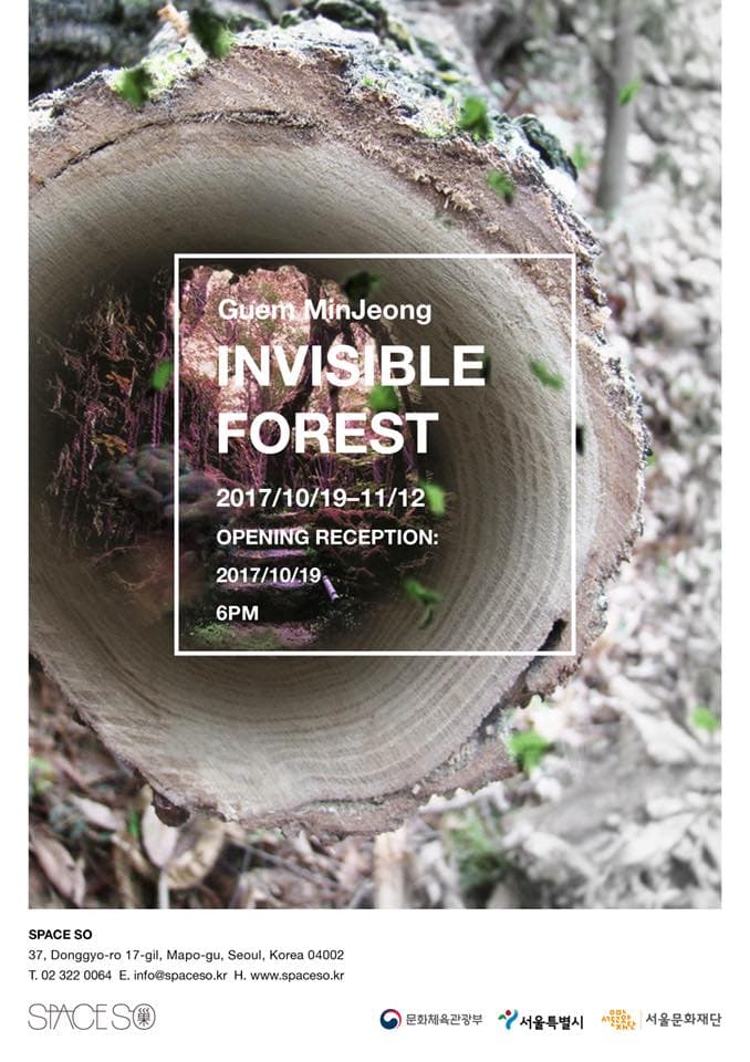 금민정 개인전 : Invisible Forest 1