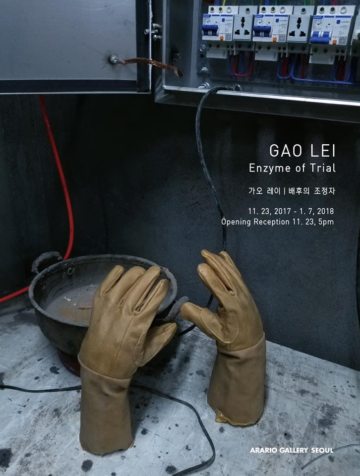 가오 레이 개인전 : 배후의 조정자 GAO Lei : Enzyme of Trial 1