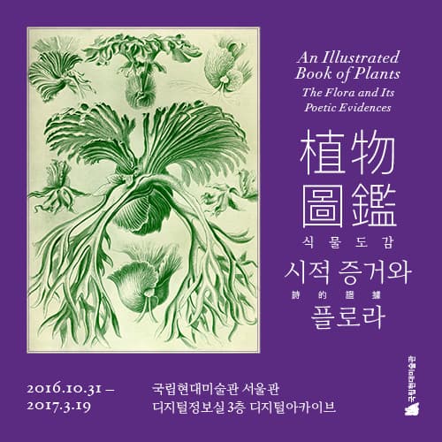 식물도감: 시적 증거와 플로라 An Illustrated Book of Plants : The Flora and Its Poetic Evidences 1