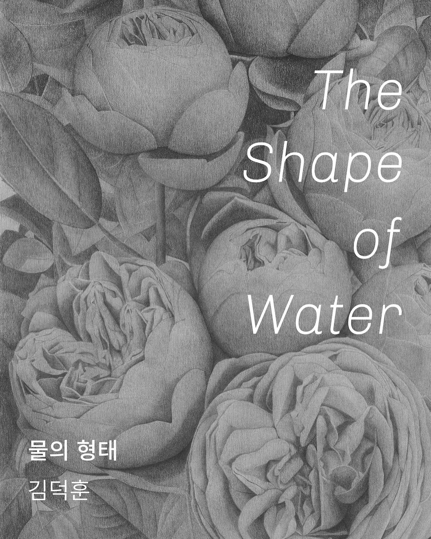 김덕훈 개인전: 물의 형태 Gim Duk Hoon The Shape of Water 1
