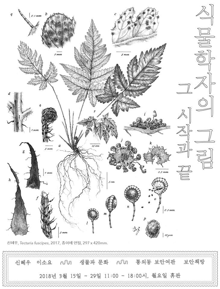 식물학자의 그림: 그 시작과 끝 1