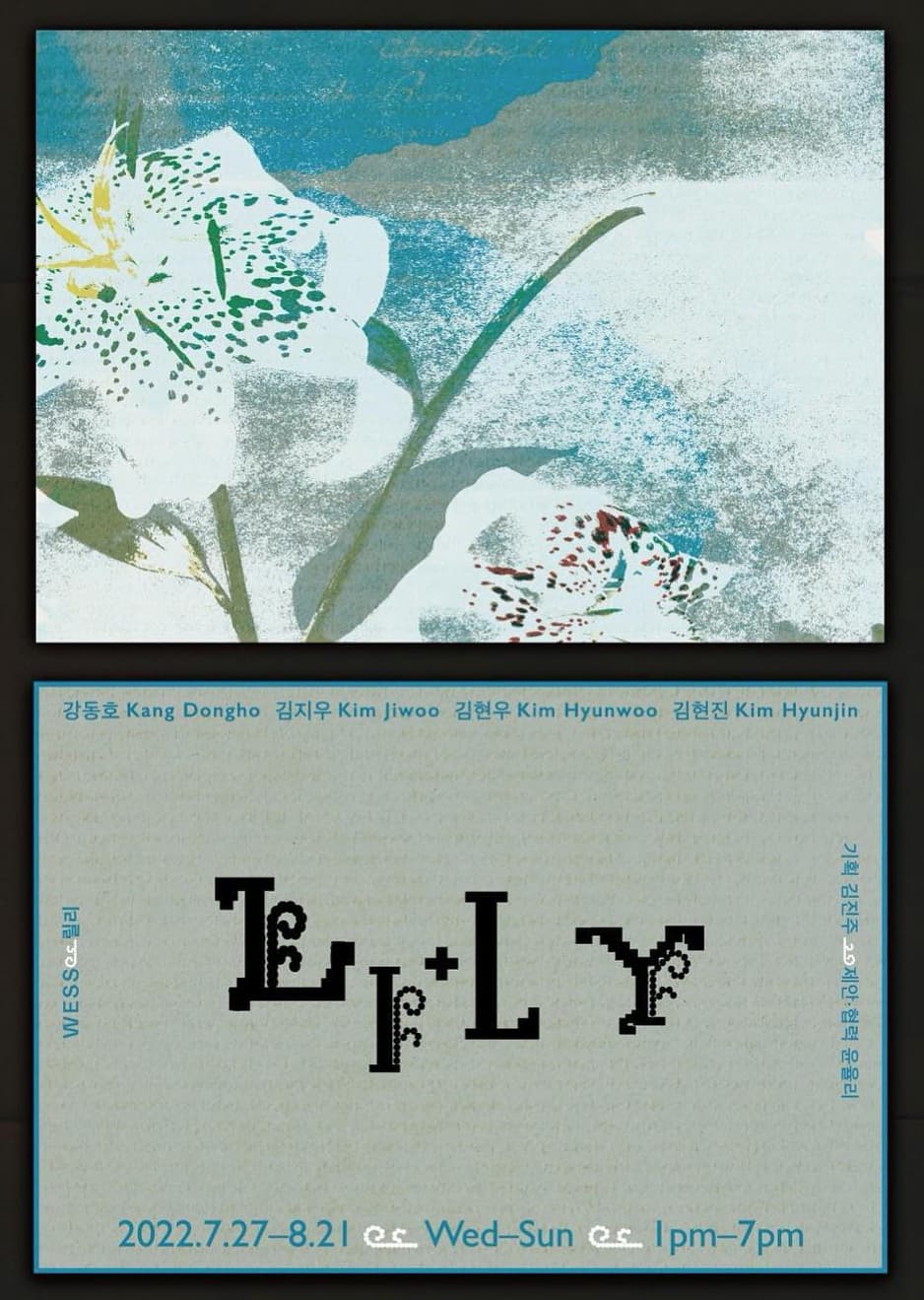 릴리 Lily 1