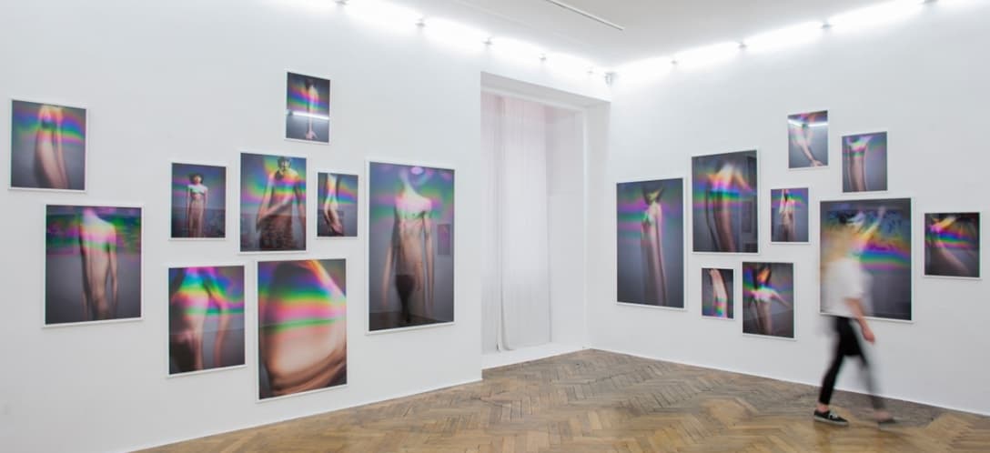 Fragile Soap Bodies, 2013