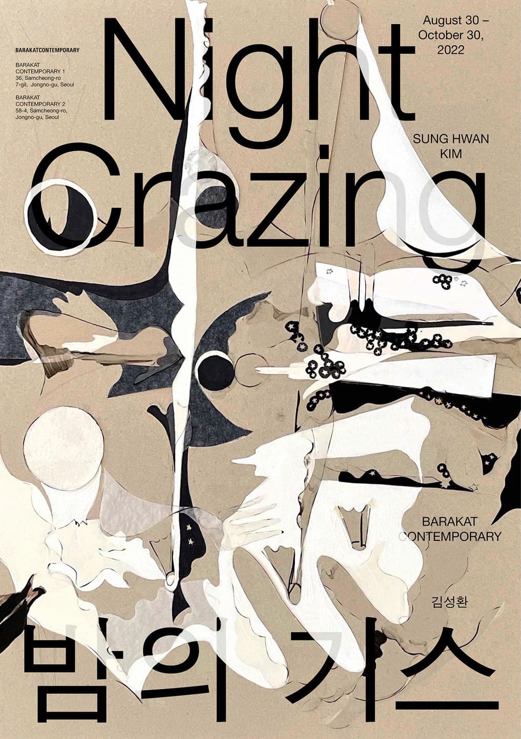 김성환 개인전: 밤의 기스 Sung Hwan Kim: Night Crazing 1