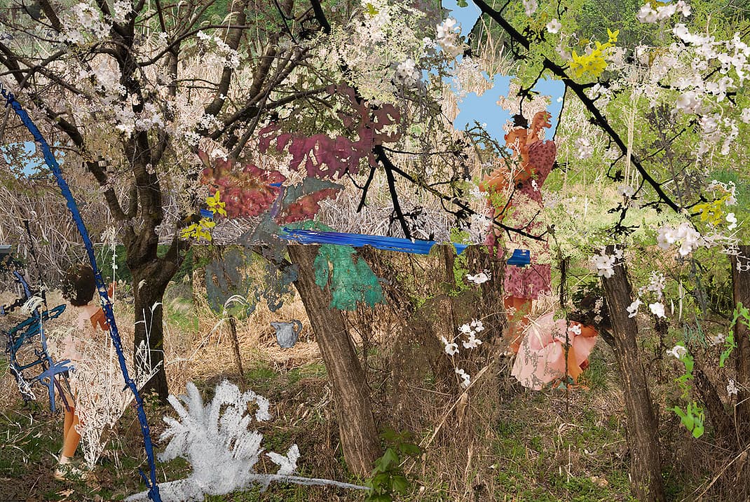 덩굴부터 엄마까지 180x120cm c-print 2016