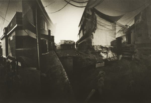 Hexascape43, Gum Bichromate on Canson ARCHES, Kodak TMax100, Handmade pinhole camera, 55x80cm, 2013