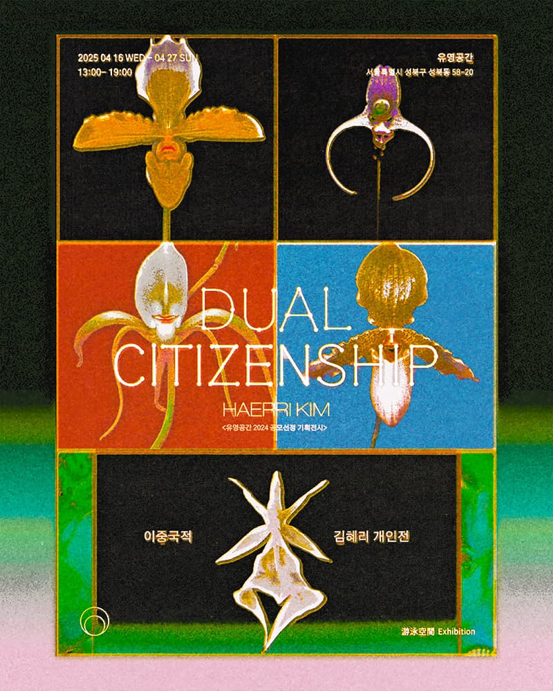 김혜리 개인전: 이중국적 Dual Citizenship 2