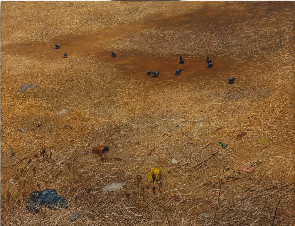 이경하, 공터비둘기, 112x145.5cm, oil on canvas, 2020