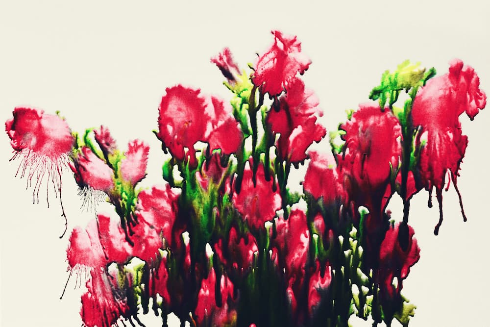 Flower#99, 110x165cm, Pigment ink on fiber based paper, 2020