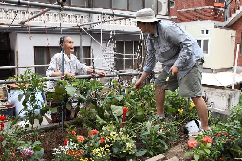 허태원 : 여기에 꽃을 심어도 될까요? TAEWON HEO : MAY I PLANT FLOWERS HERE? 2