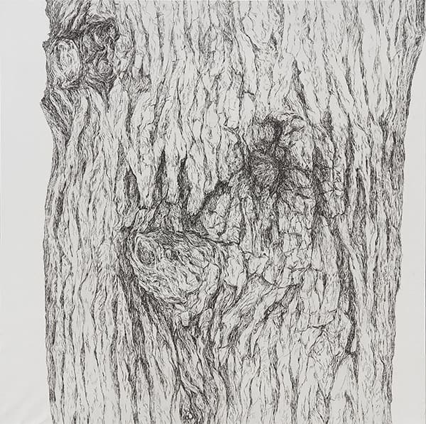 안진영, 나무얼굴, 장지에 혼합재료, 105x105cm, 2018