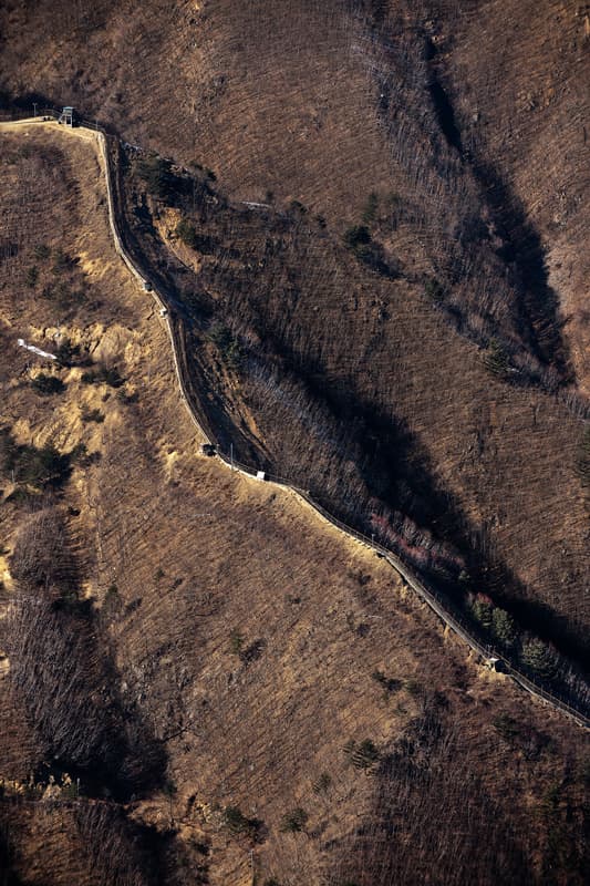 박종우. DMZ.