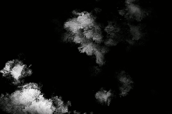 Eluvial Horizon, 2016 Paramagnet Particle, Distilled Water Variable dimensions