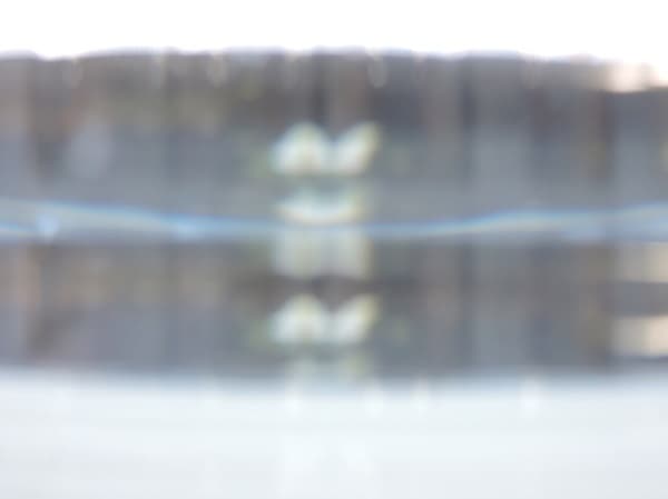 <Space in Between>(Series), C-Print, 34.8w×26.1h cm, 1/10, 2015