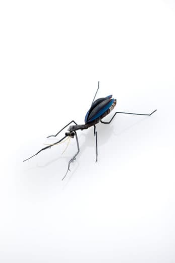 사마귀 mantis , rog’s skin leather sterling silver polymer clay oxidized gold plated , 25.5 x 12.5 x 6.5cm, 2016