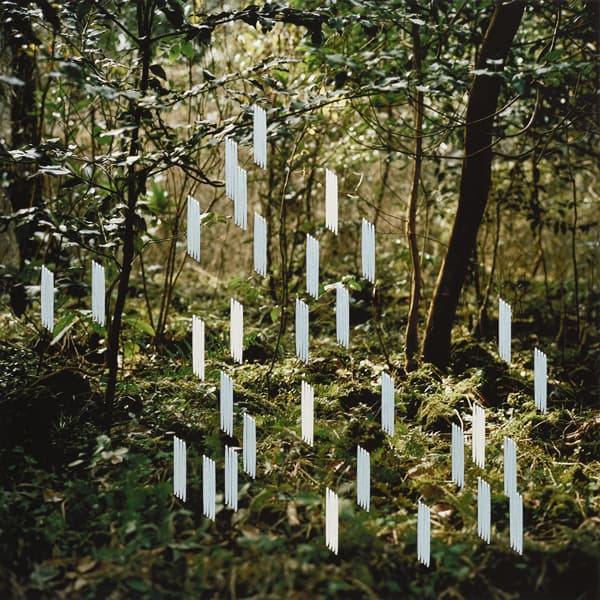 ⓒ김진희, April, 042, Embroidery on Digital Pigment Print, 62x62cm, 2016