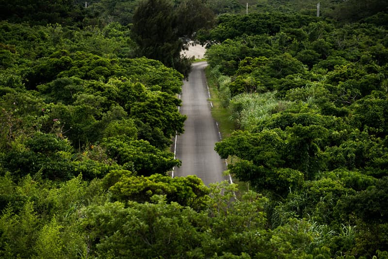 한금선 _ okinawa_book_052_미군기지_2816_okinawa_05142016