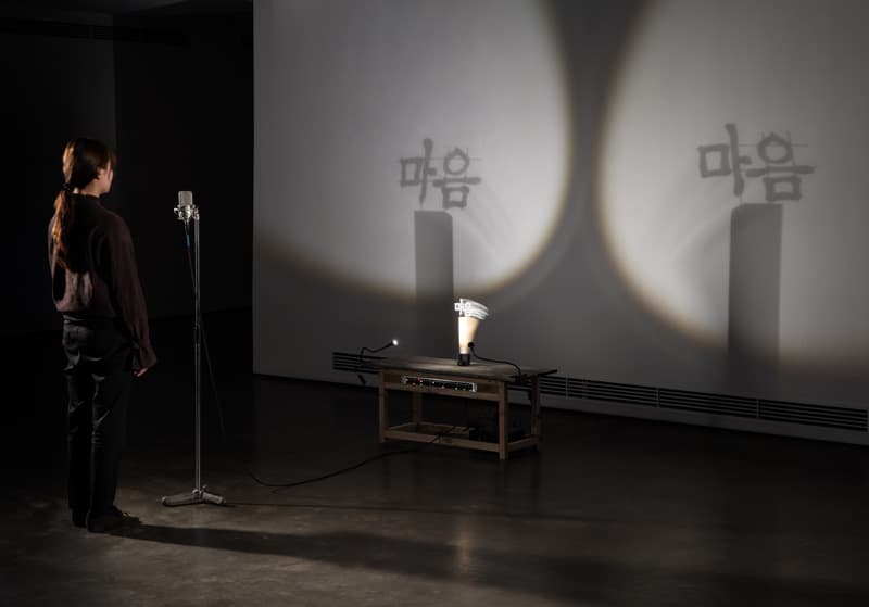 김기철, 마음 Maum, 2013-2018, 혼합매체, 가변크기
