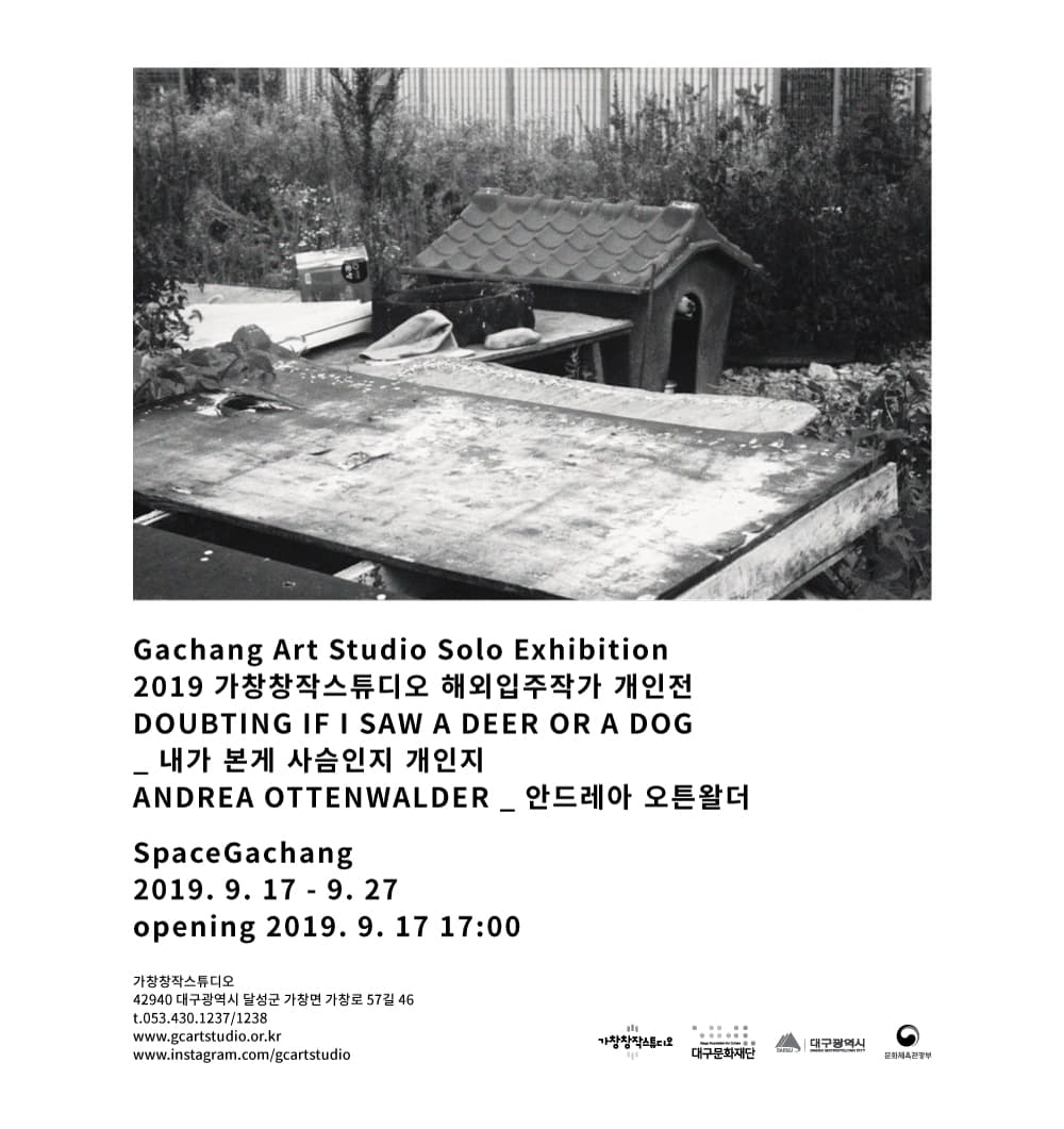 안드레아 오튼왈더 : 내가 본게 사슴인지 개인지 Andrea Ottenwalder : Doubting If I saw a deer or a dog 1