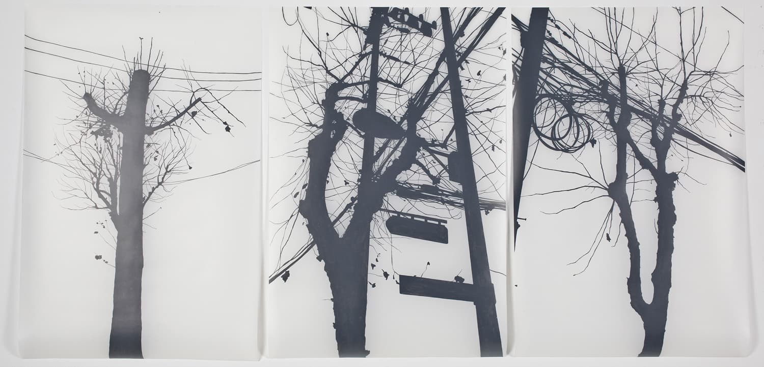 urban tree, drawing 100x79cm, 2014