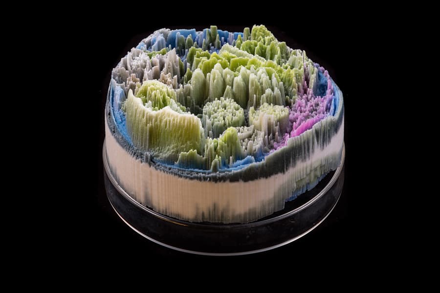 수잔 엔커, <Remote Sensing 18>, 2013, 플라스터, 피그먼트, 레진, 유리 펫트리 접시, 10.2 x 10.2 x 5.1 cm 이미지 제공 : 스페이스 오뉴월