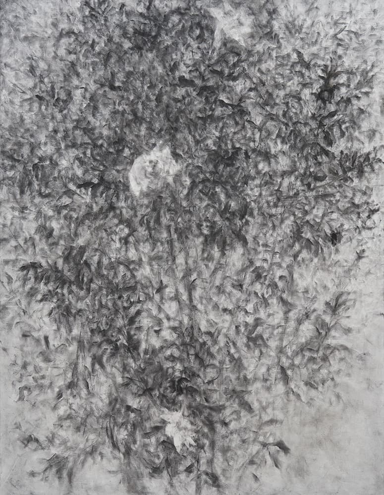 한성우, 석류나무, charcoal on canvas, 145.5x112.1cm, 2022 All Images cThe artists, Courtesy of A-Lounge, Seoul