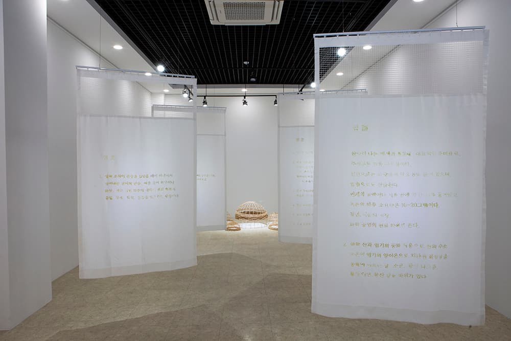 곽이랑_염_Acrylic on hospital curtain, Rattan, Salt_(Curtain_each)200x180cm, Dimension variable, 2020-2021