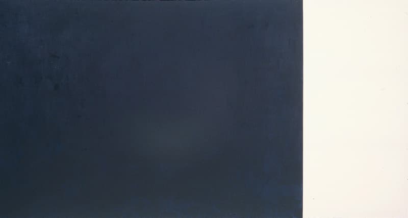 백미옥, Psychokinesis, Acrylic on cotten cloth, 227.3×162.1cm, 70×162.1cm, 2001